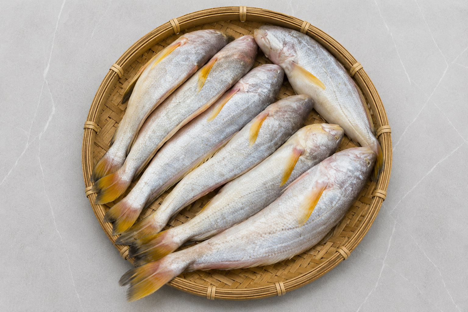 Fua Mas (Pama Croaker) — Rohingya Research Foundation