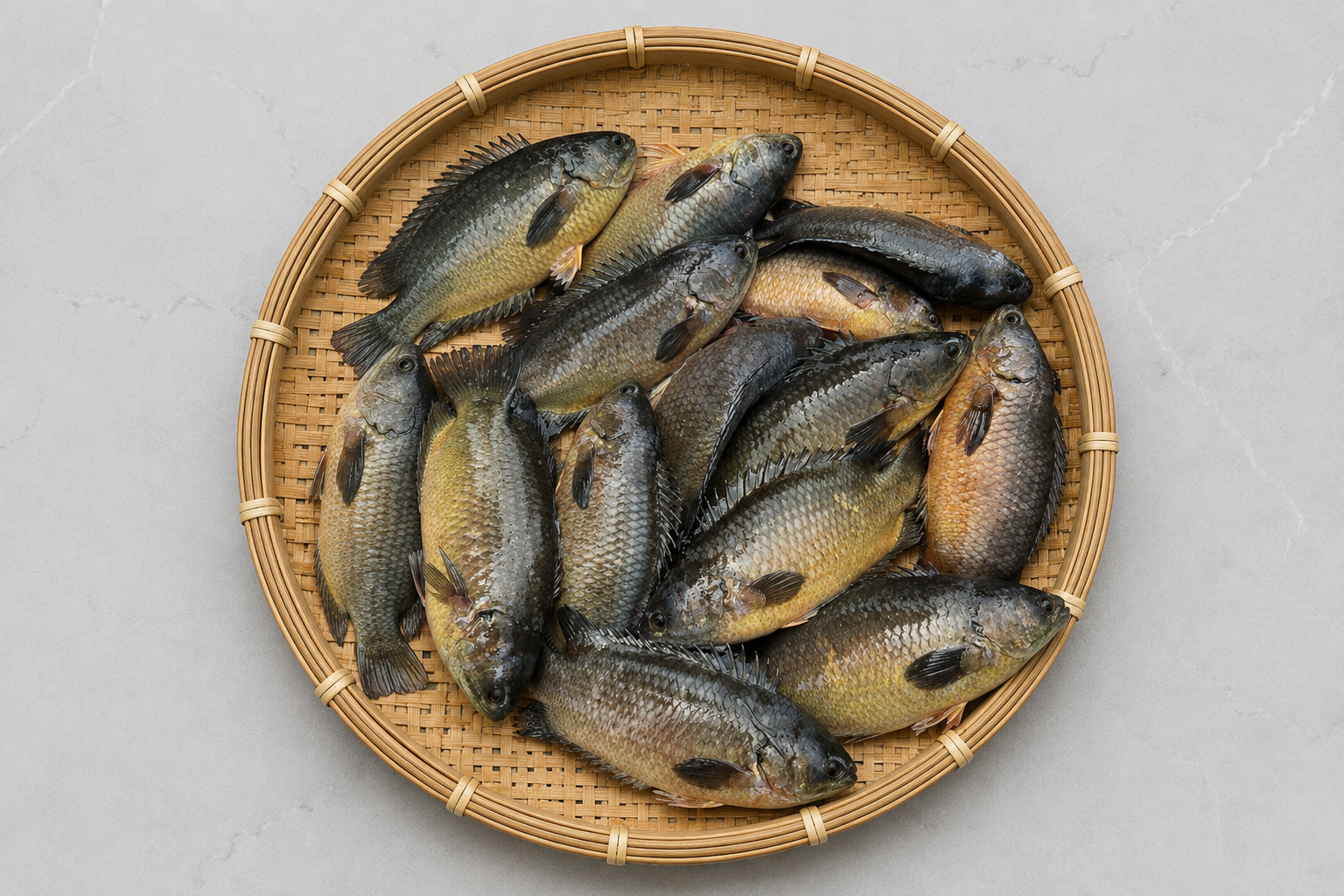 Hoi Mas (Climbing Fish) — Rohingya Research Foundation