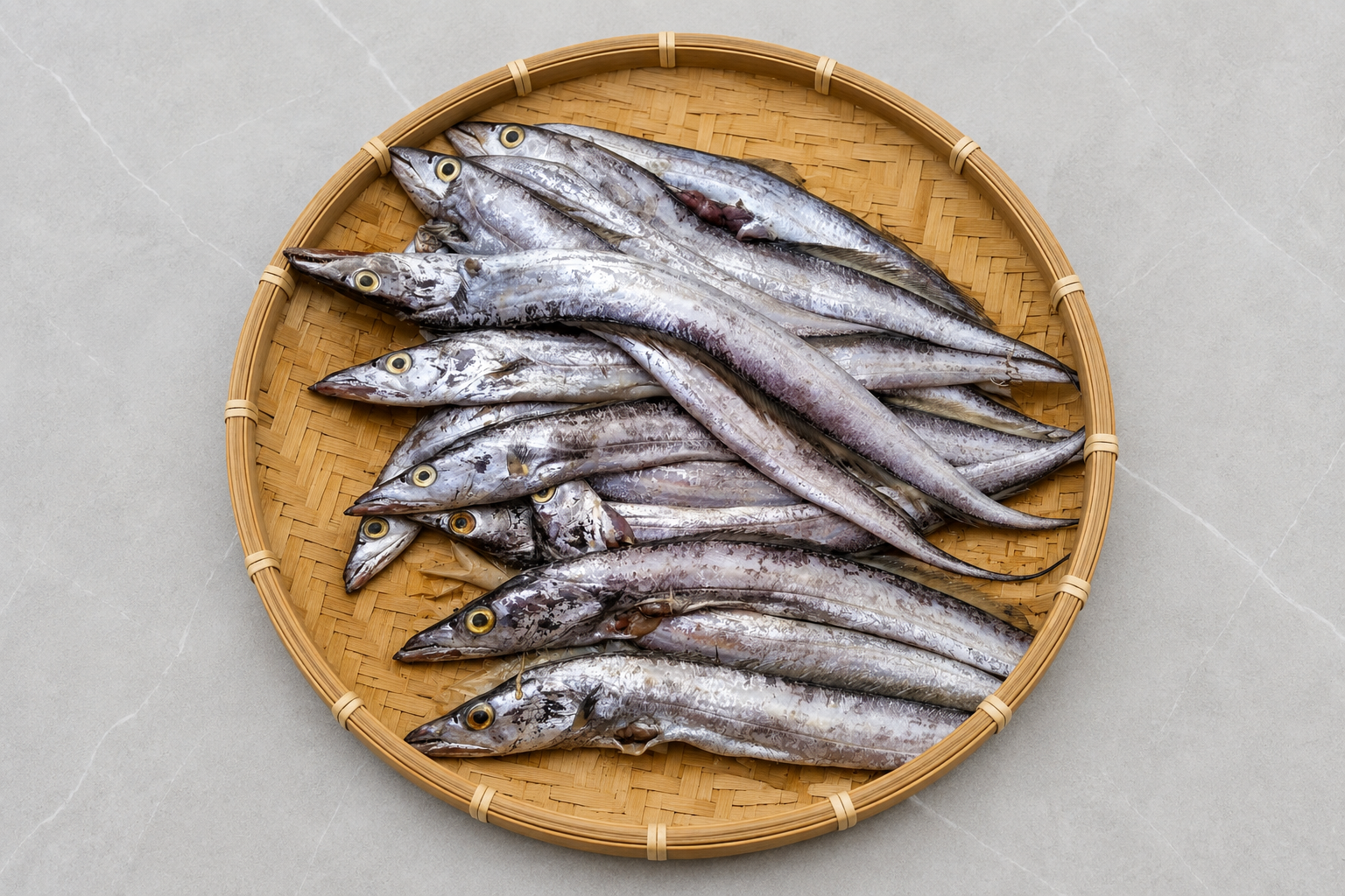 Súri Mas (Snake Mackerel) — Rohingya Research Foundation