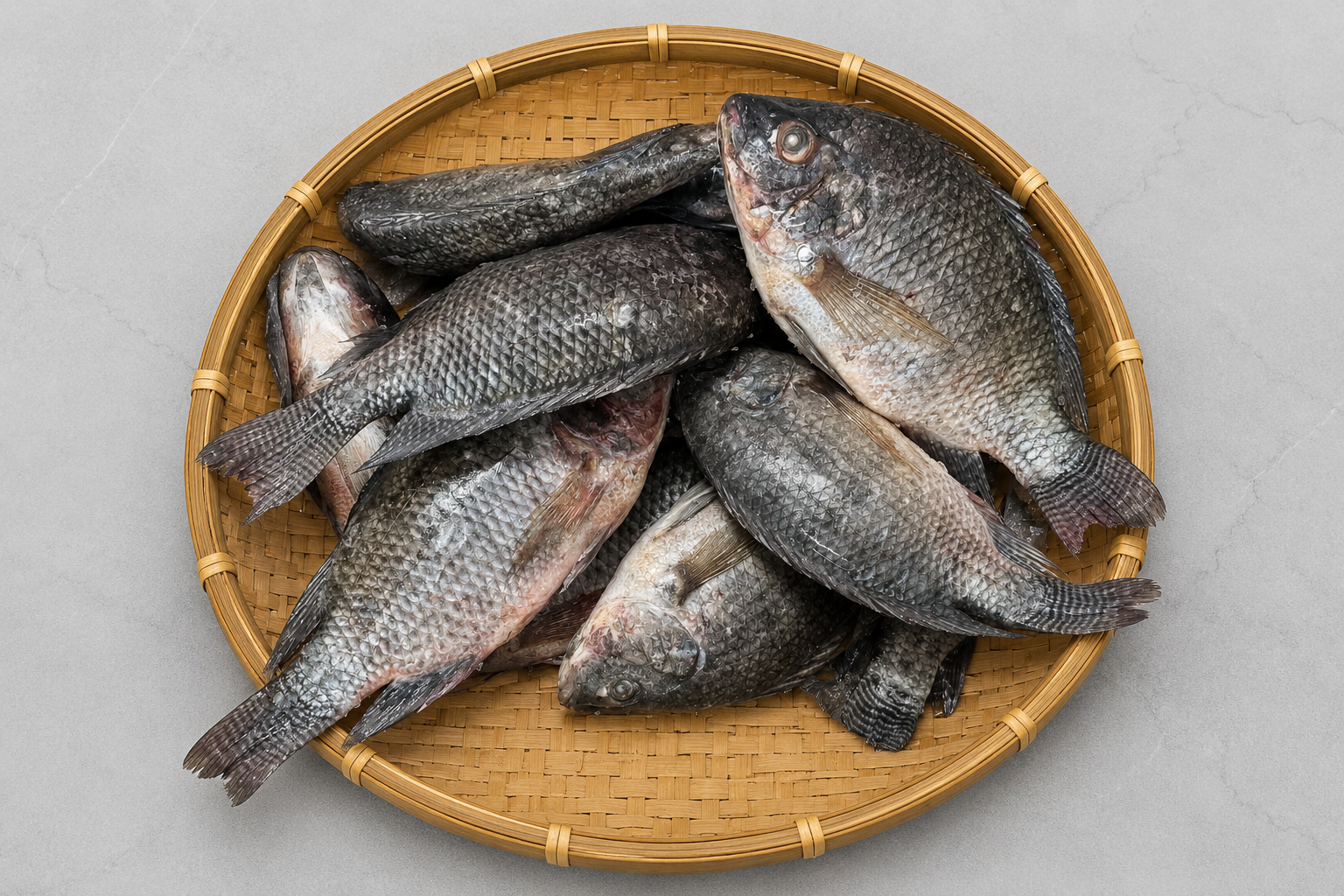 Zafani Mas (Tilapia Fish) — Rohingya Research Foundation