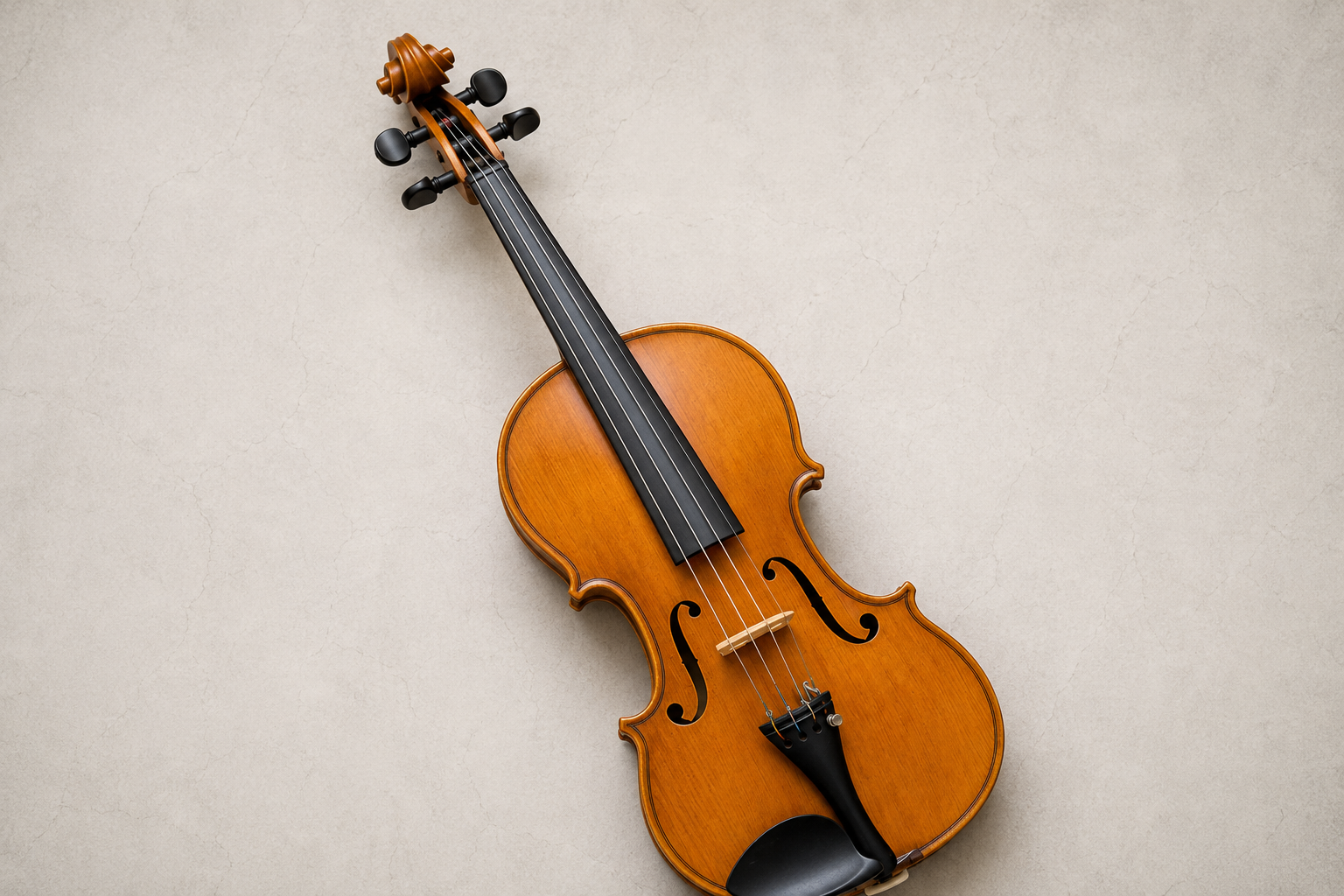 Bela (Violin) — Rohingya Research Foundation