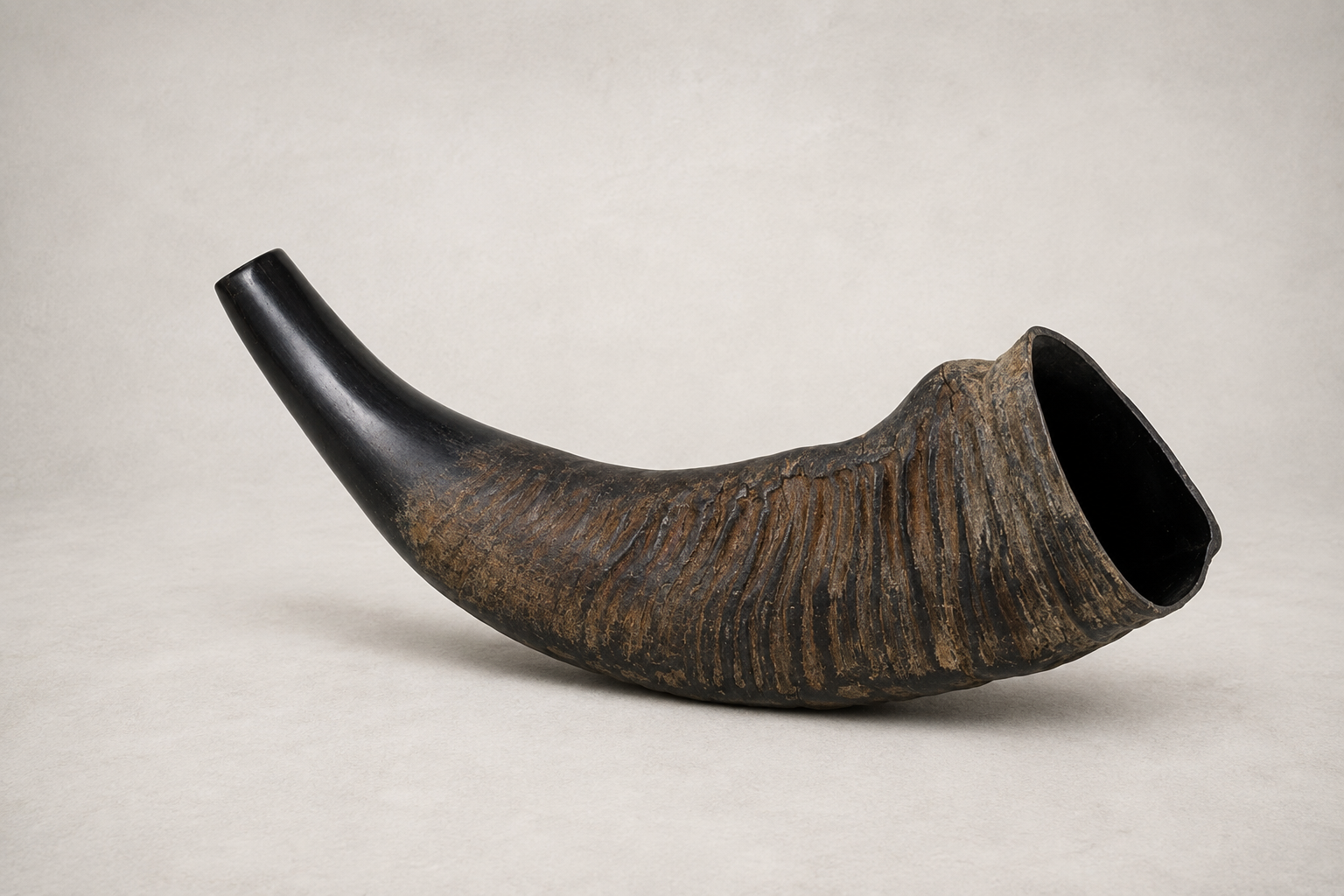 Cíña (Buffalo Horn) — Rohingya Research Foundation