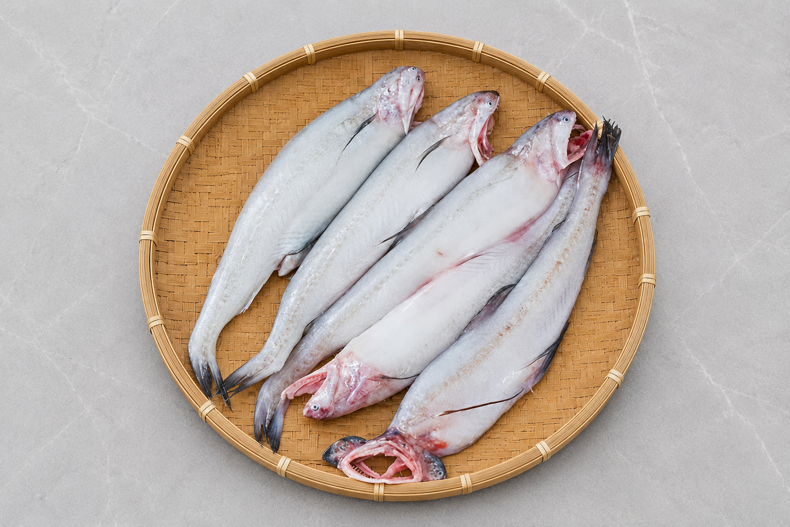 Loitta Mas (Bombay Duck) — Rohingya Research Foundation